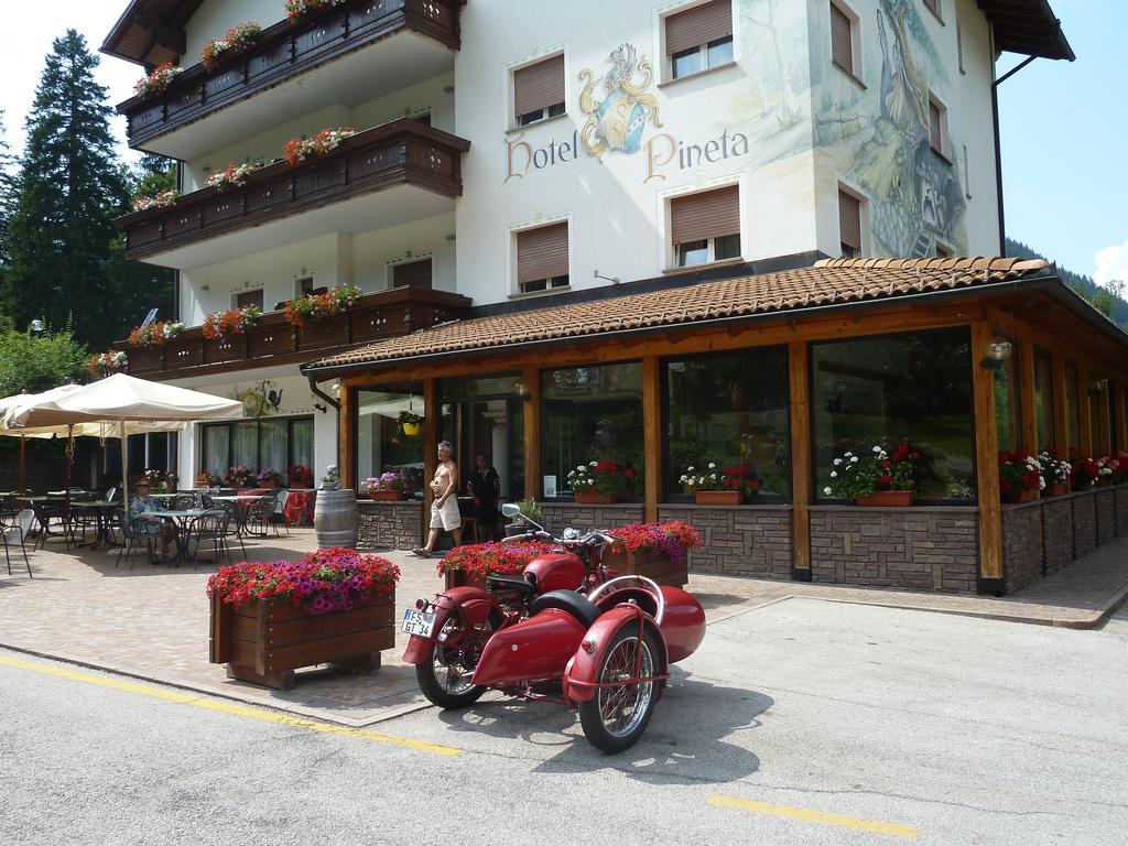Hotel Pineta Baselga di Pinè Exterior foto
